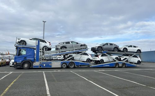 MUS727 2024.02.24 2x EV6, 5x E-Niro